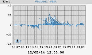 Wind Vector