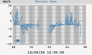 Wind Vector