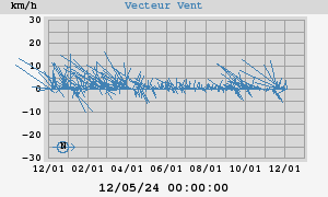 Wind Vector